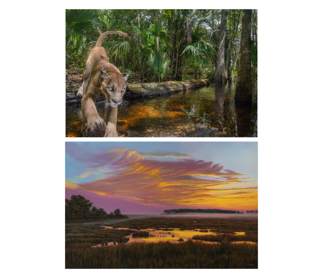Featured image for “You Are Here & Jeff Ripple: Enduring Light”