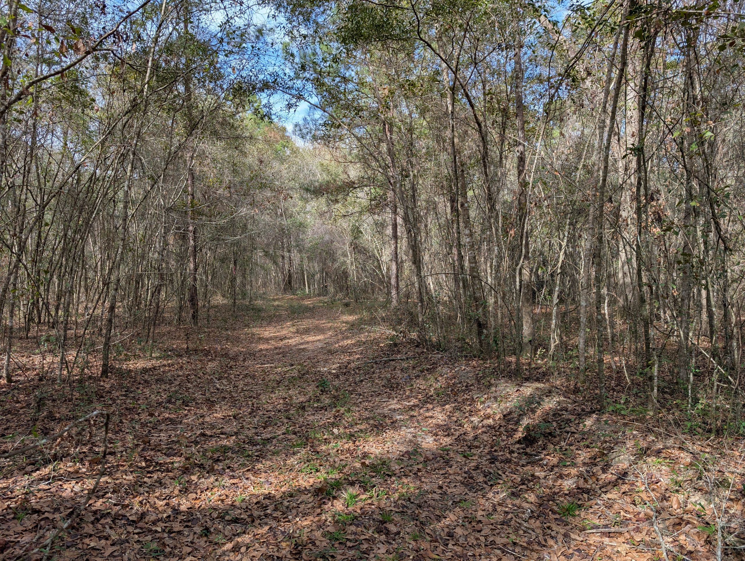 Visiting Hickory Preserve