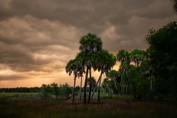 A Year of Florida’s Seasons