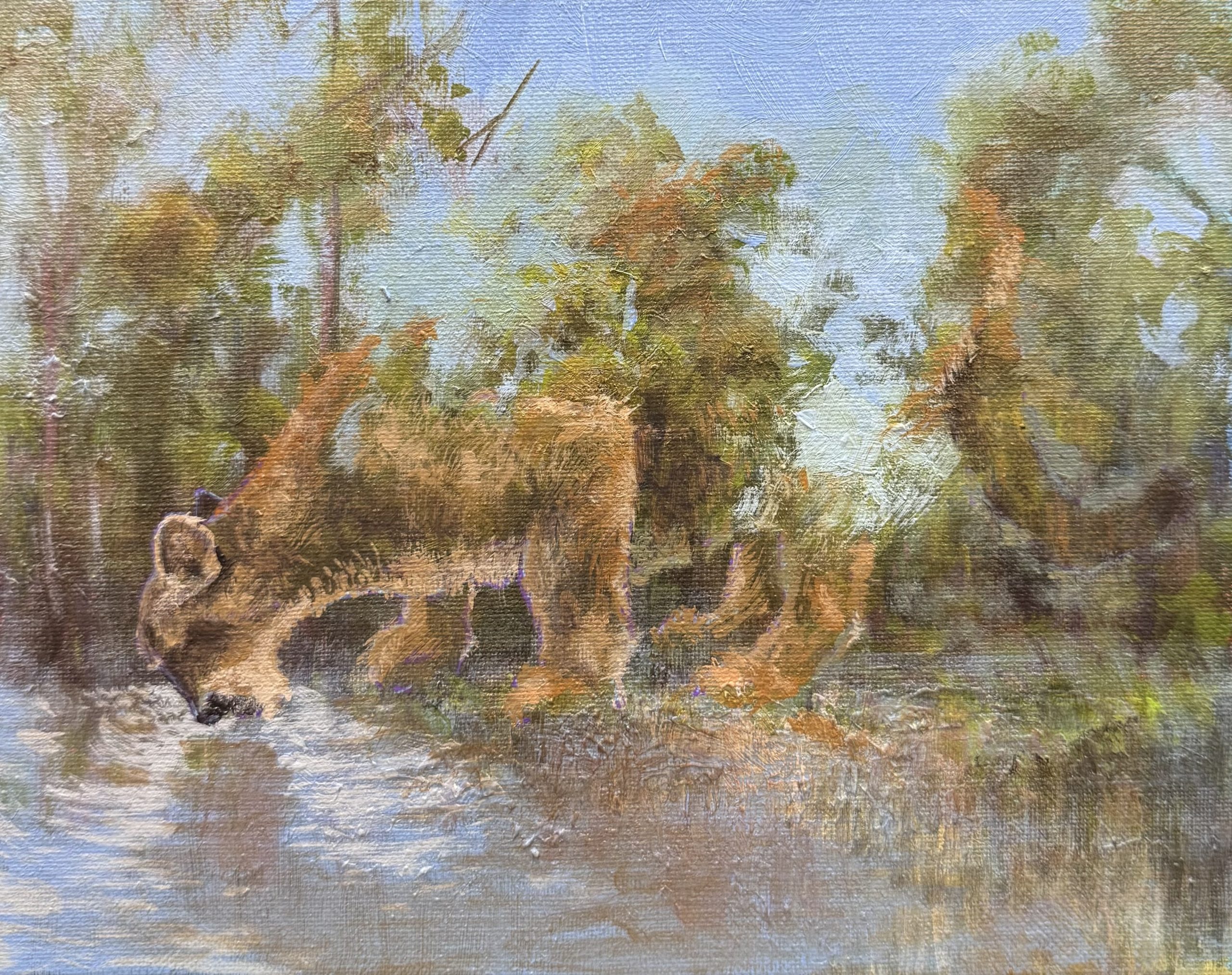 Featured image for “Ernesto Maranje: To The Edge Of The Wild”