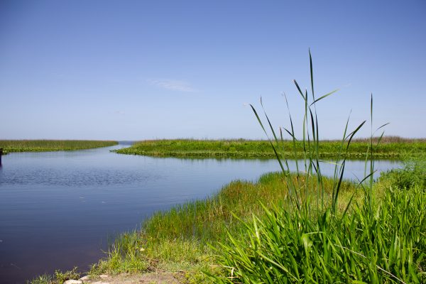 New Approaches to Nutrient Removal: Lake Istokpoga 